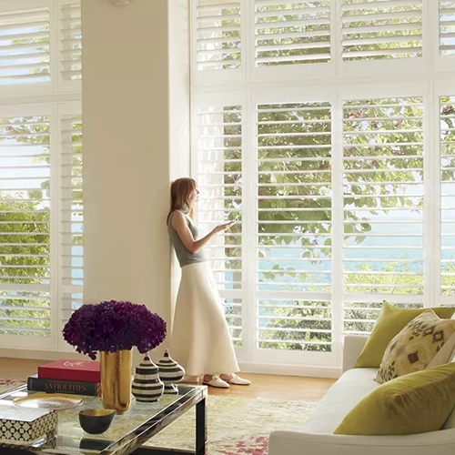 Hunter Douglas products offered by Crown Carpet Colortile